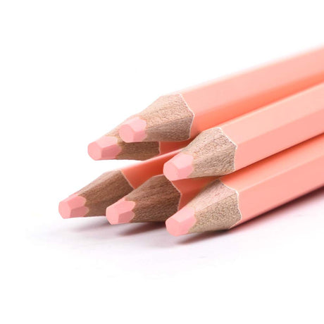 qianshan 2Pcs Flesh Light Color Watercolor Pencils Skin Tone Lead Core Pencil for Portrait Comic Adult Coloring Books Artist Coloring Drawing Sketching Blending qianshan