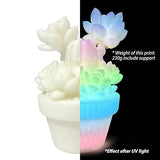 Glow in the Dark Gradient Rainbow 1.75mm PLA Filament, Luminous Rainbow Vibrant Bright 3D Printer Filament, 0.25kg 250g Small Spool 3D Printing PLA Filament Rod Toksen3D