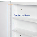 IDYLLOR Plastic Medicine Mirror Cabinet for Bathroom 16 x 26 inch, Surface and Recessed Mount IDYLLOR