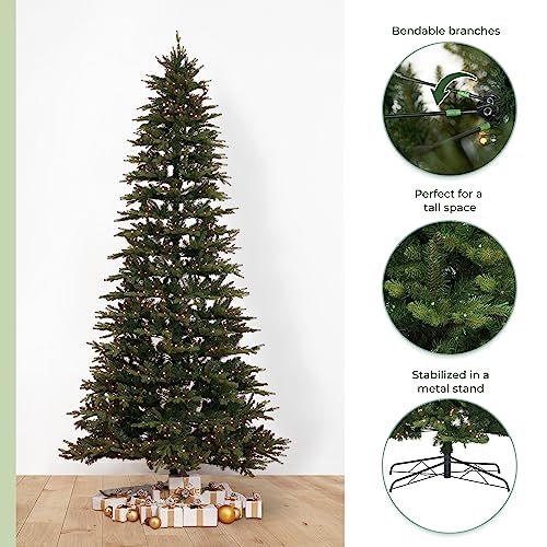 11ft. Belgium Fir Natural-Look Artificial Christmas Tree with 1250 Clear LED Lights and 4222 Bendable Branches