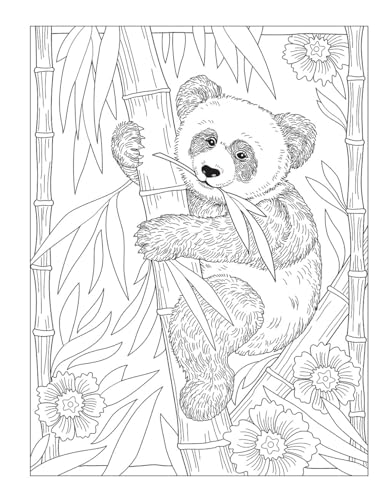 Creative Haven Wondrous Wildlife Coloring Book; Journey through Nature and the Great Outdoors; Lions, Tigers, Bears And More! (Adult Coloring Books: Animals) Dover Publications
