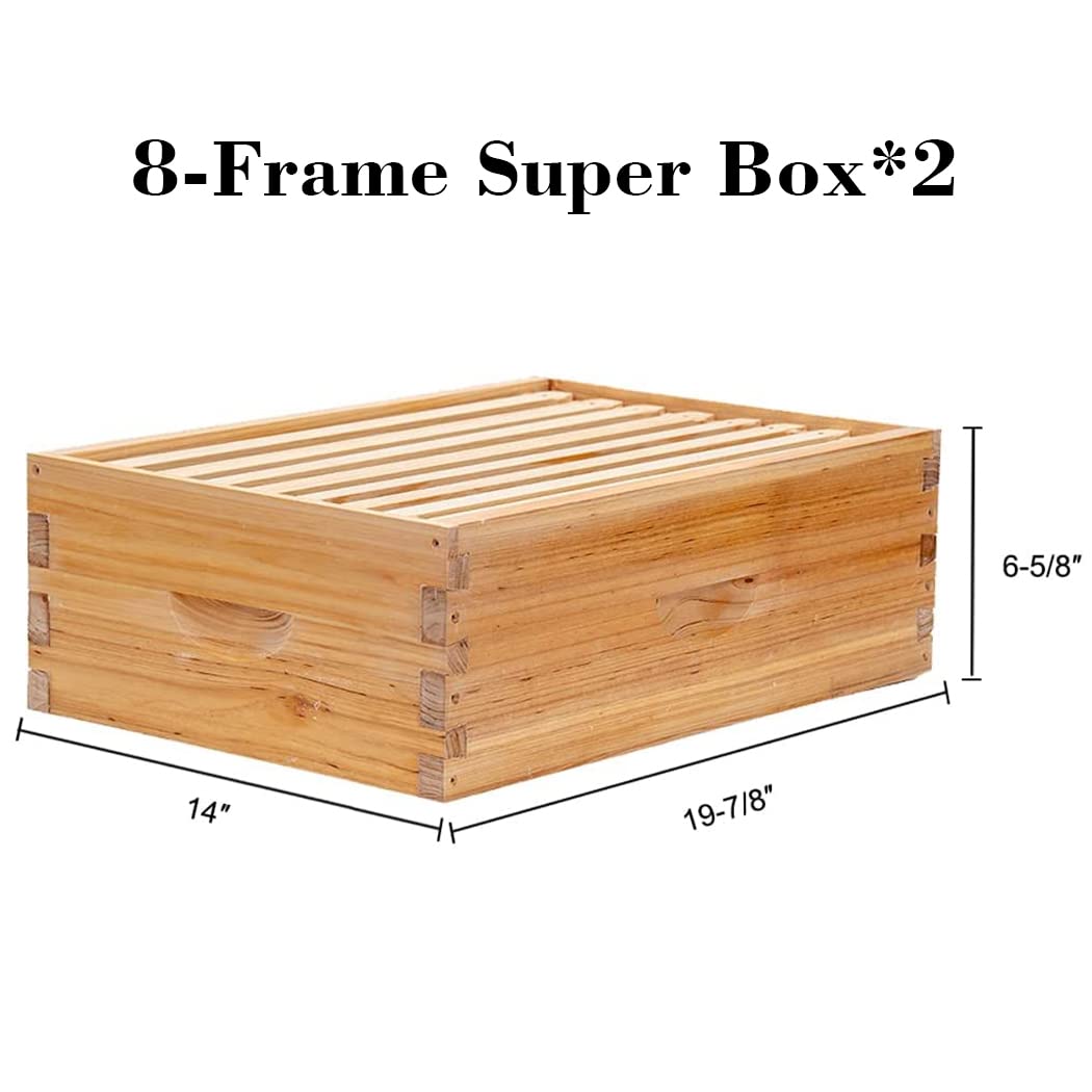 BeeCastle 8 Frame Langstroth Bee Hive Coated with 100% Beeswax Includes Beehive Frames and Waxed Foundations (2 Deep Boxes & 2 Medium Boxes)