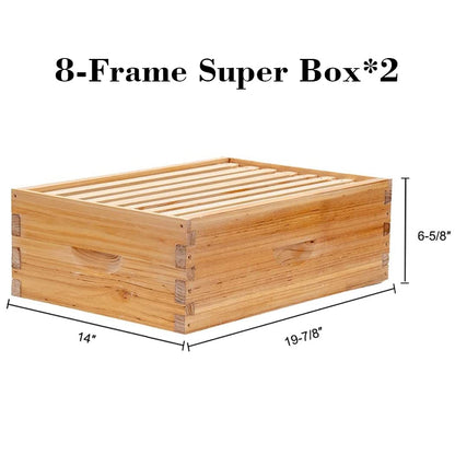 BeeCastle 8 Frame Langstroth Bee Hive Coated with 100% Beeswax Includes Beehive Frames and Waxed Foundations (2 Deep Boxes & 2 Medium Boxes)