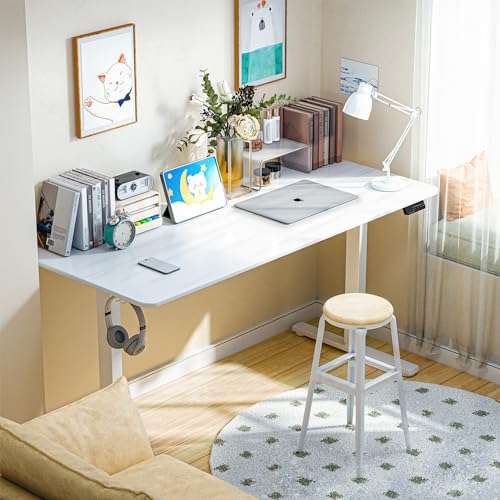 ERGOMAKER 43" Electric Standing Desk, Adjustable Height, Sit Stand Up Desk for Home Office & Computer Workstations, Memory Controller, White ERGOMAKER