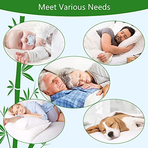 GOONIK Full Size Mattress Protector, Breathable Bamboo Viscose Waterproof Full Size Mattress Pad Cover with 6-16 inches Deep Pocket GOONIK