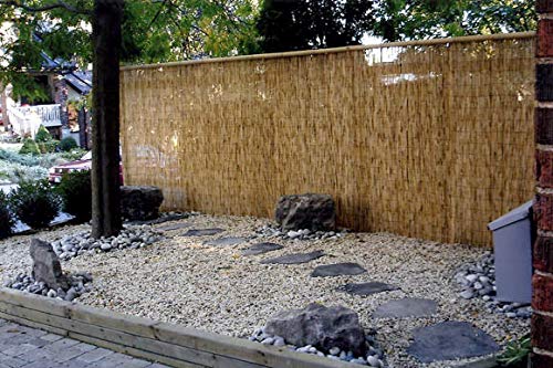 Master Garden Products RF-6 Natural Woven with Black Nylon Coated Wire, 6'H x 14'L Reed Fence, Yellow Master Garden Products