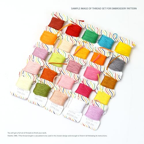 AWESOME PATTERN STUDIO Dragonfly EM080 - DIY Embroidery Kit Prime. Set of Threads, Needles, Stamped Cloth, Needle Threader, Embroidery Clippers and Printed Color Pattern Inside.