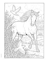Adult Coloring Great Horses Coloring Book (Adult Coloring Books: Animals) Dover Publications