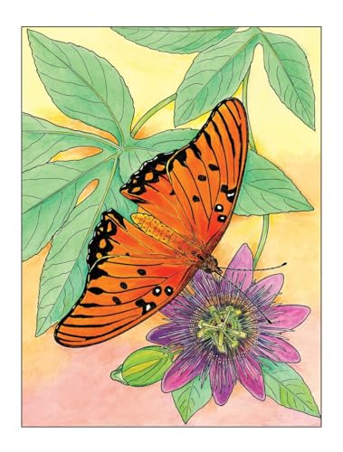 Creative Haven Butterfly Gardens Coloring Book; A Journey through Nature For Stress Relief and Relaxation (Adult Coloring Books: Insects) Dover Publications