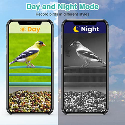 isYoung Smart Bird Feeder with Camera, Free AI Forever to Identify 11000+ Bird Species, Solar Panels Bird Video & Motion Detection Camera Auto Capture Notify (Dual Panel) - WoodArtSupply