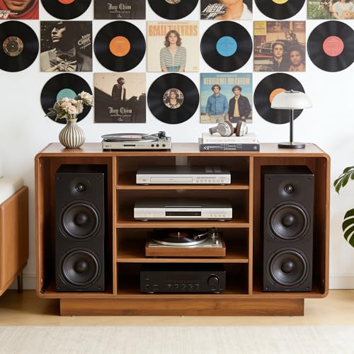 RARZOE Large Record Player Stand with Vinyl Storage, 5-Tier AV Media Stereo Cabinet, Curved Vinyl Record Storage Cabinet Turntable Stand with Adjustable Shelves for Living Room Recording Studio RARZOE