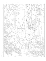 Creative Haven Forest & Woodland Wildlife Coloring Book (Adult Coloring Books: Animals) WoodArtSupply