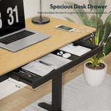 FLEXISPOT Comhar Electric Standing Desk with Drawer Desktop & Adjustable Frame w/USB Charge Ports (Bamboo-Look Laminate/Black, Wood) FLEXISPOT