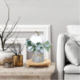 DEAMACE Wood Riser for Decor, 2 Pack Wood Pedestal Stand for Display, Round Wooden Tray for Kitchen Counter, Wooden Pedestal Stand for Plant Pot Indoor DEAMACE