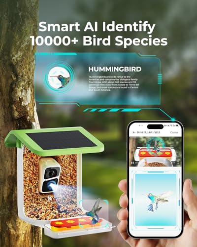 Smart Bird Feeder with Camera, 2-in-1 Bird Feeder Perch, 1080P HD AI Identify Hummingbird Feeder Camera, Auto Capture Bird Videos & Identify 10000+ - WoodArtSupply