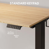 FLEXISPOT EN2 Whole-Piece Bamboo Standing Desk with Clamp Power Strip, 55 x 28 Electric Stand Up Height Adjustable Desk with Cable Management (Black Frame + 55" Bamboo Top, 2 Packages) FLEXISPOT