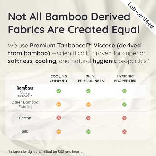Bambaw Queen Sheet Set – 4pcs 100% Viscose Derived from Bamboo Sheets Set, Cooling Sheets for Night Sweats, Soft Queen Sheets, Hotel Luxury Bed Sheets Set, 16'' Deep Pockets (Moonlight Gray) Bambaw
