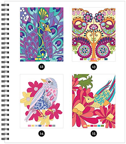 Brain Games - Color by Number: Birds New Seasons