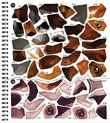 Brain Games - Sticker by Number: Dogs (28 Images to Sticker) WoodArtSupply