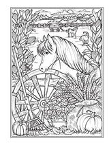 Creative Haven Autumn Harvest Coloring Book (Adult Coloring Books: Seasons) WoodArtSupply