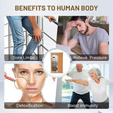 HOSAUNA Infrared Sauna，Double -Layer Canadian Hemlock Wood Build Infrared Saunas for Home,Low EMF 800W Home Sauna HOSAUNA