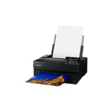 Epson SureColor P900 17-Inch Printer,Black Epson