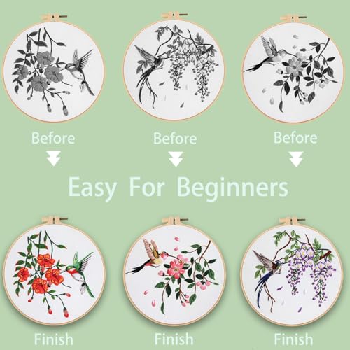 Ohcol 3 Sets Hummingbird Embroidery Kit for Beginners Needlepoint Kits for Adults Cross Stitch Kits with Clear Instructions,Easy Funny Stamped Bird Patterns Fabric Hand Crafts