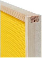 BeeCastle 40-Pack Beehive Bee Frames Waxed Foundation with Complete Unassembled Commercial Frames, 6-1/4-Inch (Yellow) BeeCastle