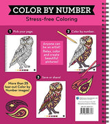 Brain Games - Color by Number: Stress-Free Coloring (Pink) Publications International, Ltd.