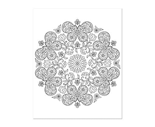 Color & Frame - In the Garden (Adult Coloring Book) New Seasons