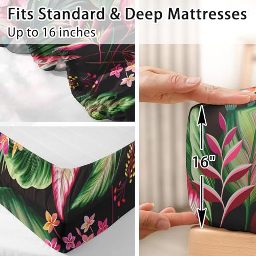 WeCozy 4 Pieces King Size Bed Sheet Sets with Pillowcases, Tropical Leaves Flower Hibiscus Soft Microfiber Bedding for Kids and Adults, Flat, Fitted Sheet for Bedroom Bed Decor WeCozy