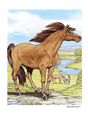 Wonderful World of Horses Coloring Book (Dover Animal Coloring Books) Dover Publications