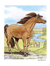 Wonderful World of Horses Coloring Book (Dover Animal Coloring Books) Dover Publications