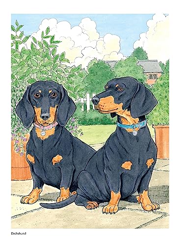 Creative Haven The Dog Lovers' Coloring Book (Adult Coloring Books: Pets)