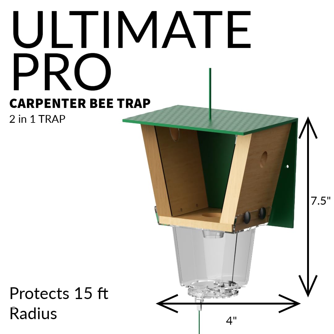 Best Bee Brothers Ultimate Pro Carpenter Bee Trap for Outside with Extra-Large, Clear External Bee Vault & Spring-Loaded Door, 4.2” D x 5.8” W x 7.5” H Best Bee Brothers