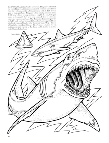 Sharks of the World Coloring Book (Dover Sea Life Coloring Books) Dover Publications