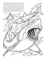 Sharks of the World Coloring Book (Dover Sea Life Coloring Books) Dover Publications