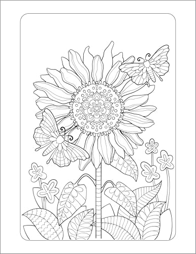 Anxiety Relief Coloring Book for Adults: Mindfulness Coloring to Soothe Anxiety