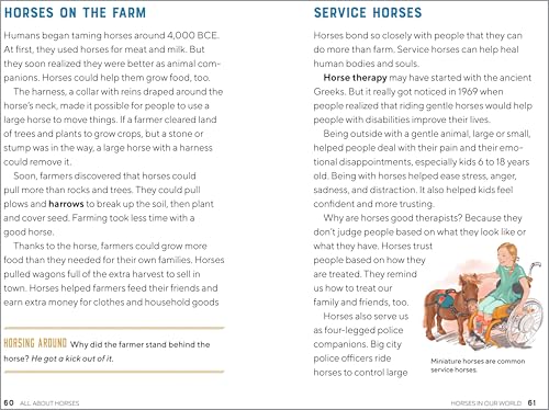All About Horses: A Kid's Guide to Breeds, Care, Riding, and More! WoodArtSupply
