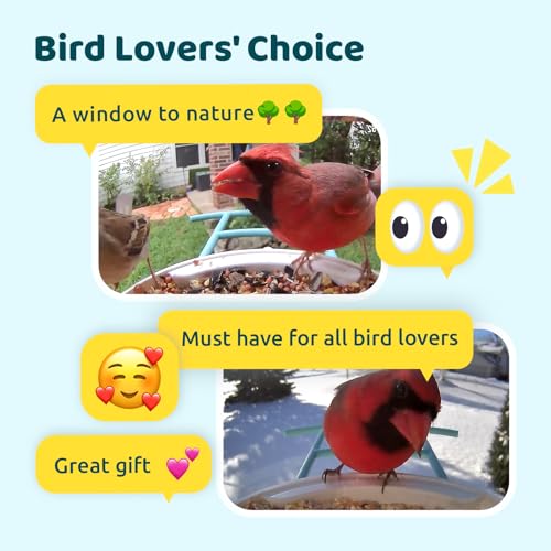 NETVUE Birdfy Lite - Smart Bird Feeder with Camera, Bird Watching Camera, Auto Capture Bird Videos & Motion Detection, Wireless Camera Ideal Gift for NETVUE