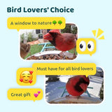 NETVUE Birdfy Lite - Smart Bird Feeder with Camera, Bird Watching Camera, Auto Capture Bird Videos & Motion Detection, Wireless Camera Ideal Gift for NETVUE