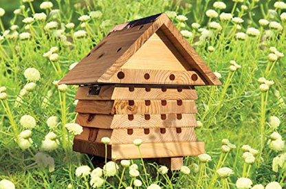 Wildlife World SBH2 Solitary Bee Hive, Wood - WoodArtSupply