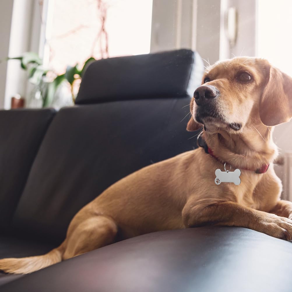 POPETPOP Pet Id Tags 18 pcs pet Dog tag Custom Tags Metal Blank pet tag Sublimation pet tag cat Name Label Tags Dog Collar Tags Dog ID Tag Sublimation Blank cat Tags Bone Stainless Steel POPETPOP