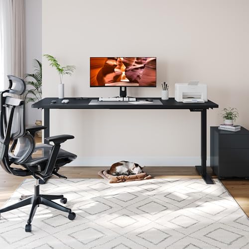 FitStand Dual Motor Standing Desk, Large Stand Up Desks, 79x31 Inches Electric Sit Stand Desk, 4 Memory Preset Adjustable Height Home Office Desk (Black) FitStand