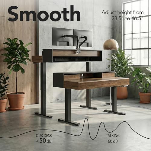 ErGear Electric Standing Desk with 5 Solid Wood Drawers, 48 x 26 Inches Whole Piece Desktop, with Desktop Riser Stand, Compatible with C-Clamp Monitor Arms, Modern Office Desk, Dark Walnut ErGear