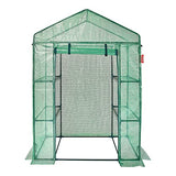 VEVOR Walk-in Green House, 55.5 x 29.3 x 80.7 inch, Portable Greenhouse with Shelves, High Strength PE Cover with Roll-up Zipper Door and Steel Frame, Set Up in Minutes, for Planting and Storage VEVOR