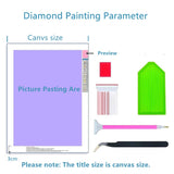 5D Diamond Painting Kits Black and White American Native Indian Woman Full Drill Round Beads Diamond Art Gems Stone Cross Stitch DIY Diamond Painting by Number Kits 12x16inch Ourtimfun