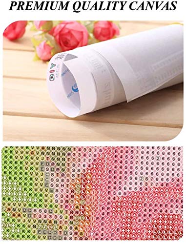 DIY 5D Diamond Painting Kit Atlanta Georgia USA Downtown Skyline Ga Midtown Landscape Scene 14" X 20" Adult Full Drill Rhinestone Cross Stitch Art Crafts for Home Decoration Suklly