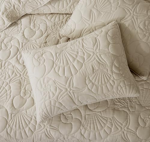 WDCOZY Coastal Beach Beige Twin Size Quilt Bedding Sets, Nautical Tropical Ocean Bedspread, Scallop Seashell Soft Coverlet, Lightweight Summer Thin Comforter for All Season WDCOZY