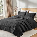 akkialla Twin Quilt Bedding Set for All Seasons,Lightweight Black Bedspreads Twin Size,Modern Style Microfiber Soft Floral Pattern Coverlet Set(1 Quilt,1 Pillow Sham) akkialla